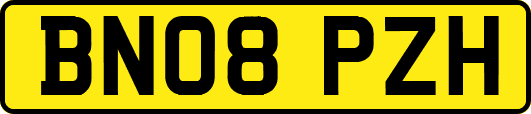 BN08PZH