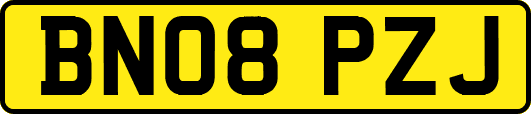 BN08PZJ