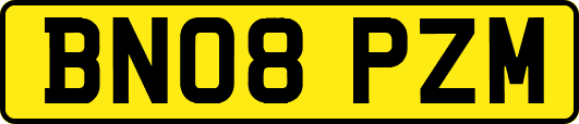 BN08PZM