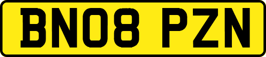 BN08PZN