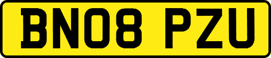 BN08PZU