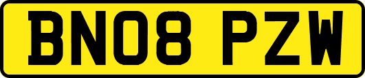 BN08PZW