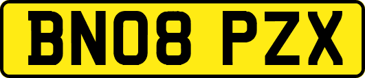 BN08PZX
