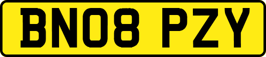 BN08PZY