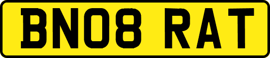 BN08RAT