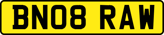BN08RAW