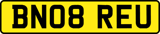 BN08REU