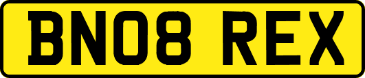 BN08REX