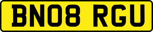 BN08RGU