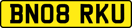 BN08RKU