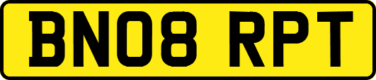 BN08RPT