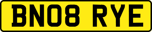 BN08RYE