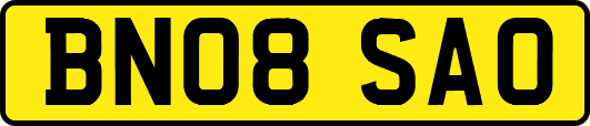 BN08SAO