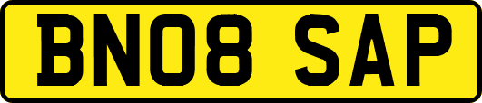 BN08SAP