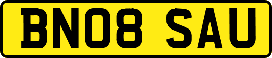 BN08SAU