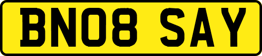 BN08SAY
