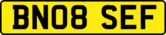 BN08SEF