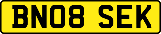 BN08SEK