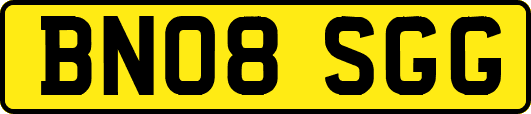 BN08SGG