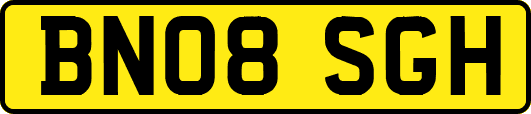 BN08SGH
