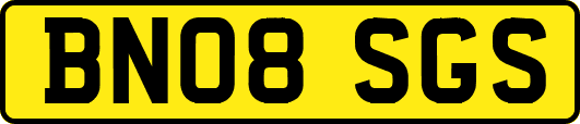 BN08SGS