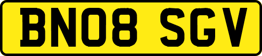 BN08SGV