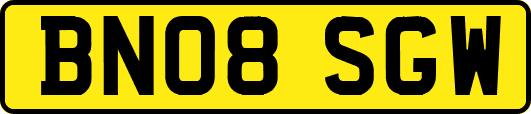 BN08SGW