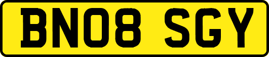 BN08SGY