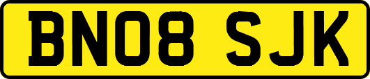 BN08SJK