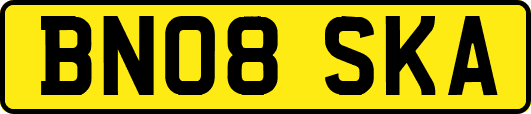 BN08SKA