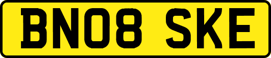 BN08SKE