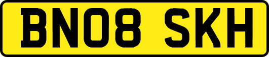 BN08SKH
