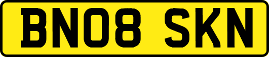 BN08SKN