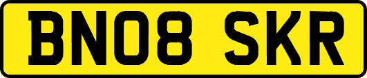 BN08SKR