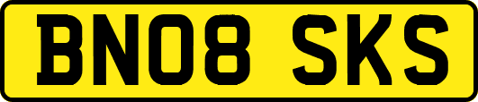 BN08SKS
