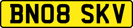 BN08SKV