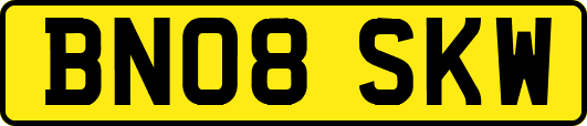 BN08SKW