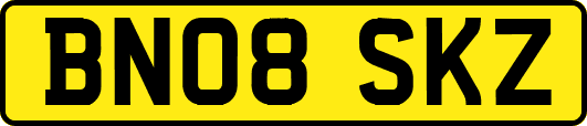 BN08SKZ