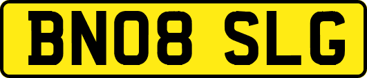 BN08SLG