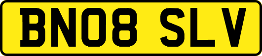 BN08SLV