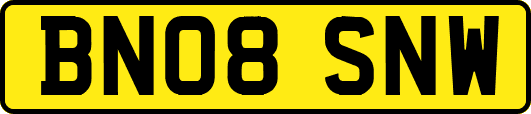 BN08SNW