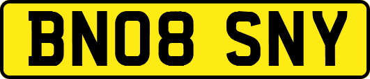 BN08SNY