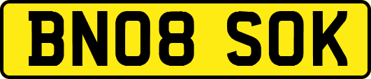 BN08SOK