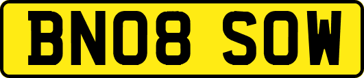 BN08SOW