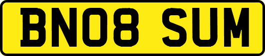 BN08SUM