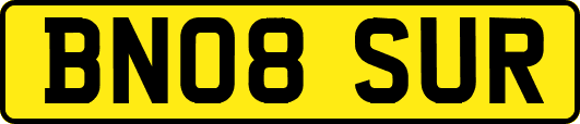 BN08SUR