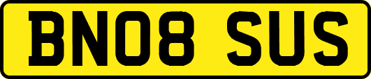 BN08SUS