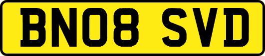 BN08SVD