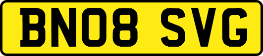BN08SVG
