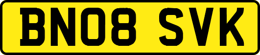 BN08SVK